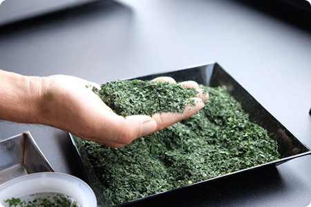碾茶の茶葉